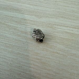 Pandora turtle charm